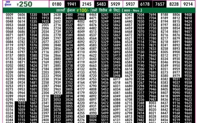 Rajshree50  ravi weekly lottery 7.30pm result 30 June 2024