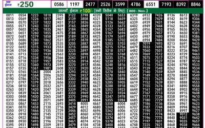 Rajshree 50 shani weekly lottery 7.30pm result 29 June 2024