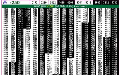 Rajshree 50 guru weekly lottery 7.30pm result 11 July 2024