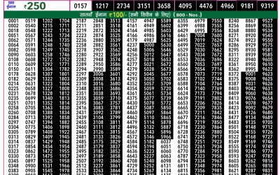 Rajshree 50 mangal weekly lottery 7.30pm result 2 July 2024