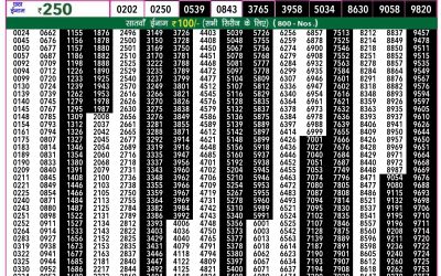 Rajshree 50 shani weekly lottery 7.30pm result 14 July 2024