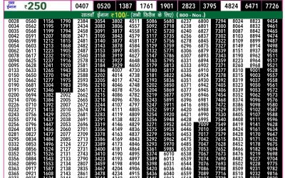 Rajshree 50 ravi weekly lottery 7.30pm result 28 July 2024