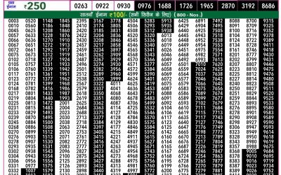 Rajshree 50 shani weekly lottery 7.30pm result 20 July 2024