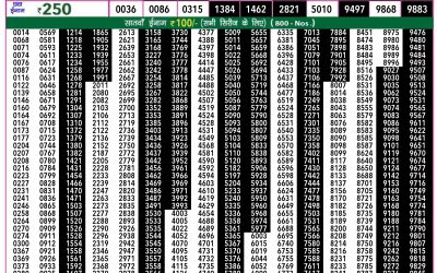 Rajshree50 som weekly lottery 7.30pm result 22 July 24