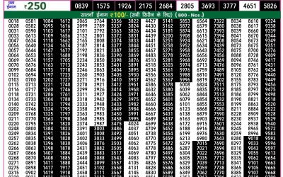 Rajshree 50 guru weekly lottery 7.30pm result 1 August 2024