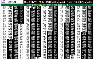 Rajshree 50 guru weekly lottery 8.30pm result 8 August 2024