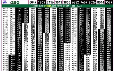 Rajshree 50 mangal weekly lottery 7.30pm result 20 August 2024