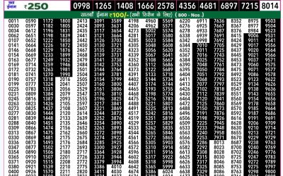 Rajshree 50 mangal weekly lottery 7.30pm result 27 August 2024