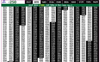 Rajshree 50 ravi weekly lottery 7.30pm result 4 August 2024