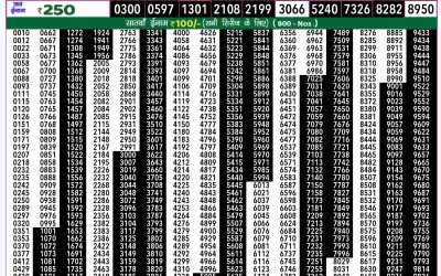 Rajshree 50 ravi weekly lottery 7.30pm result 11 August 2024