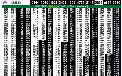 Rajshree 50 shani weekly lottery 7.30pm result 18.08.24