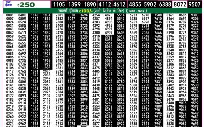 Rajshree 50 shani weekly lottery 7.30pm result 25 August 2024