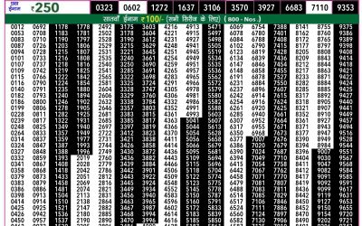 Rajshree 50 shani weekly lottery 7.30pm result 3 August 2024