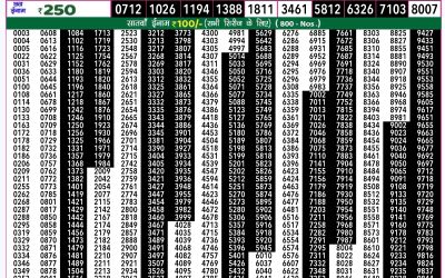 Rajshree 50 shani weekly lottery 7.30pm result 10 August 2024