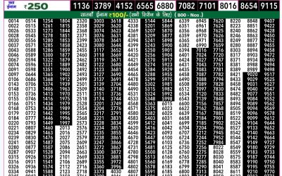 Rajshree 50 shani weekly lottery 7.30pm result 17 August 2024