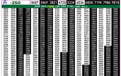 Rajshree 50 shani weekly lottery 7.30pm result 24 August 2024