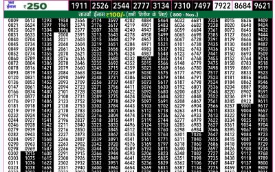 Rajshree 50 shukra weekly lottery 7.30pm result 30 August 2024