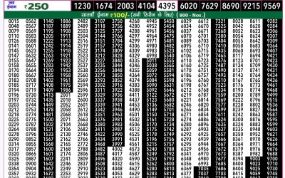 Rajshree 20 som weekly lottery 7.30pm result 12 August 2024