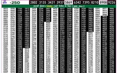 Rajshree 50 som weekly lottery 8pm result 19 August 2024