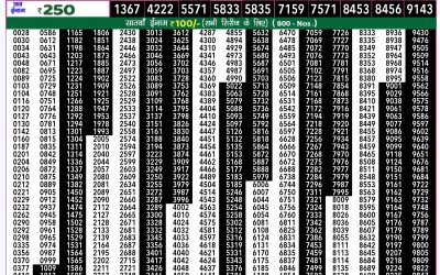 Rajshree 50 budh weekly lottery 7.30pm result 4 September 2024