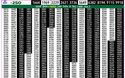 Rajshree 50 budh weekly lottery 7.30pm result 11 September 2024