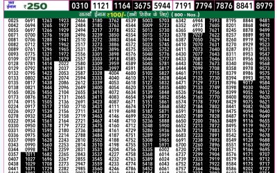 Rajshree 50 guru weekly lottery 7.30pm result 26 September 2024