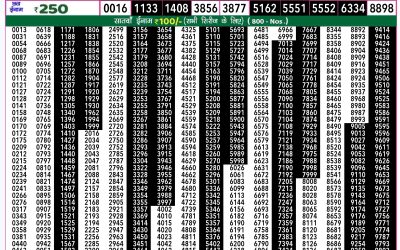 Rajshree 50 mangal weekly lottery 7.30pm result 3 September 2024