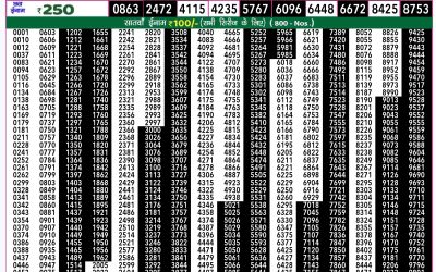 Rajshree 50 mangal weekly lottery 7.30pm result 24 September 2024