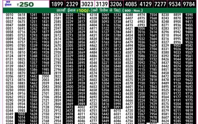 Rajshree 50 ravi weekly lottery 7.30pm result 8 September 2024