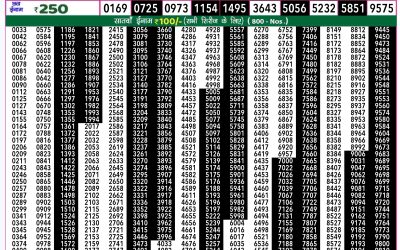 Rajshree 50 ravi weekly lottery 7.30pm result 29 September 2024