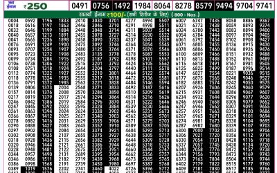 Rajshree 50 shani weekly lottery 7.30pm result 7 September 2024