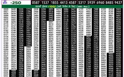 Rajshree 50 shani weekly lottery 7.30pm result 28 September 2024