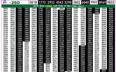 Rajshree 50 shukra weekly lottery 7.30pm result 6 September 2024