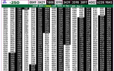 Rajshree 50 som weekly lottery 7.30pm result 2 September 2024