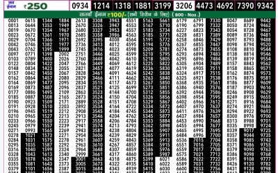 Rajshree 50 budh weekly lottery 7.30pm result 9 October 2024