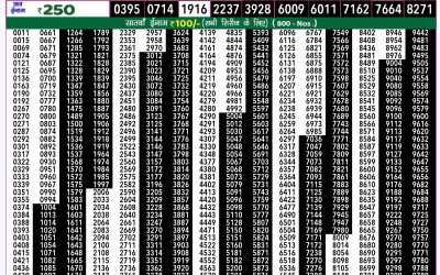 Rajshree 50 guru weekly lottery 7.30pm result 24 October 2024