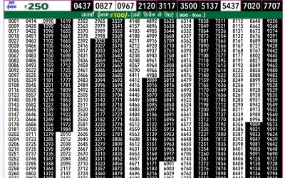 Rajshree 50 mangal weekly lottery 7.30pm result 1 October 2024