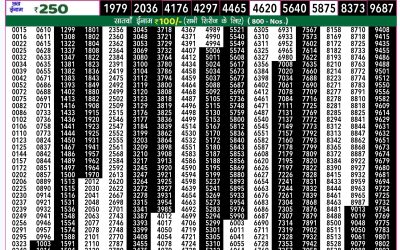 Rajshree 50 mangal weekly lottery 7.30pm result 8 October 2024