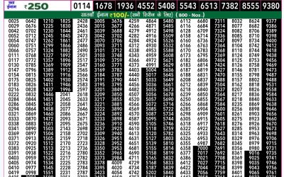 Rajshree 50 mangal weekly lottery 7.30pm result 29 October 2024