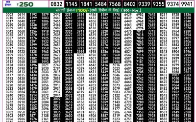 Rajshree 50 shani weekly lottery 7.30pm result 26 October 2024