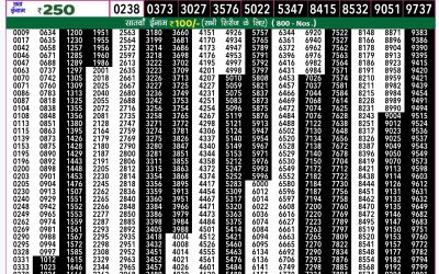 Rajshree 50 shukra weekly lottery 7.30pm result 11 October 2024