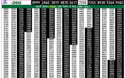 Rajshree 50 som weekly lottery 7.30pm result 7 October 2024