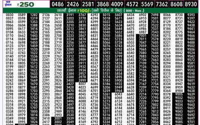 Rajshree 50 som weekly lottery 7.30pm result 14 October 2024