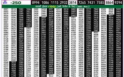 Rajshree 50 budh weekly lottery 7.30pm result 6 November 2024