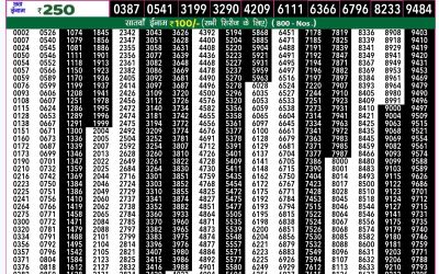 Rajshree 50 mangal weekly lottery 7.30pm result 5 November 2024