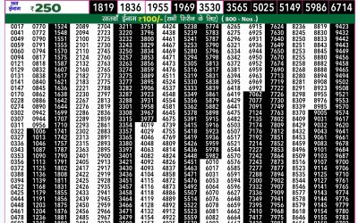 Rajshree 50 mangal weekly lottery 7.30pm result 19 November 2024