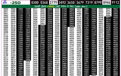 Rajshree 50 ravi weekly lottery 7.30pm result 10 November 2024