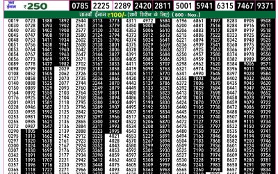 Rajshree 50 ravi weekly lottery 7.30pm result 17 November 2024