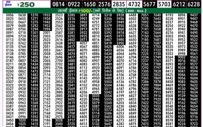 Rajshree 50 shani weekly lottery 7.30pm result 2 November 2024