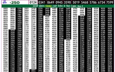 Rajshree 50 shukra weekly lottery 7.30pm result 1 November 2024